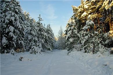 日本一《魔物饭大冒险》试玩版上线PS4和Switch 1月27日发售